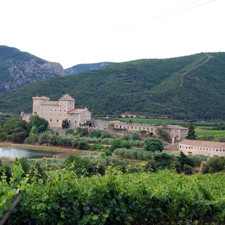 Castell De Riudabella Apartment Vimbodi I Poblet Luaran gambar