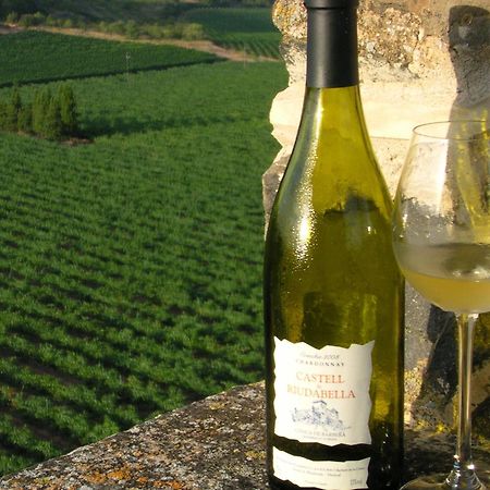 Castell De Riudabella Apartment Vimbodi I Poblet Luaran gambar
