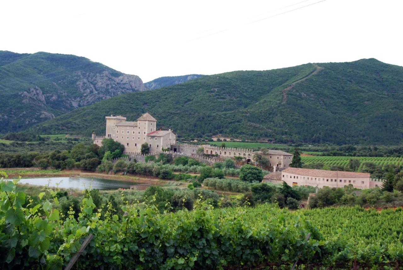 Castell De Riudabella Apartment Vimbodi I Poblet Luaran gambar