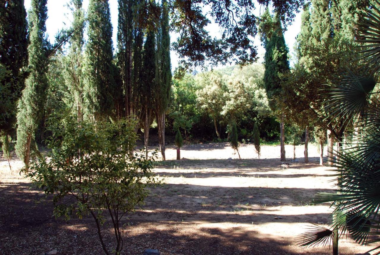 Castell De Riudabella Apartment Vimbodi I Poblet Luaran gambar