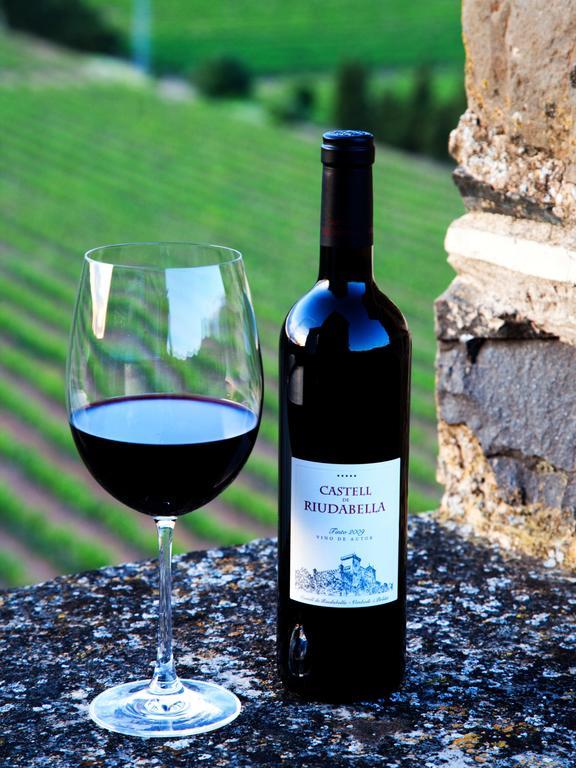 Castell De Riudabella Apartment Vimbodi I Poblet Luaran gambar