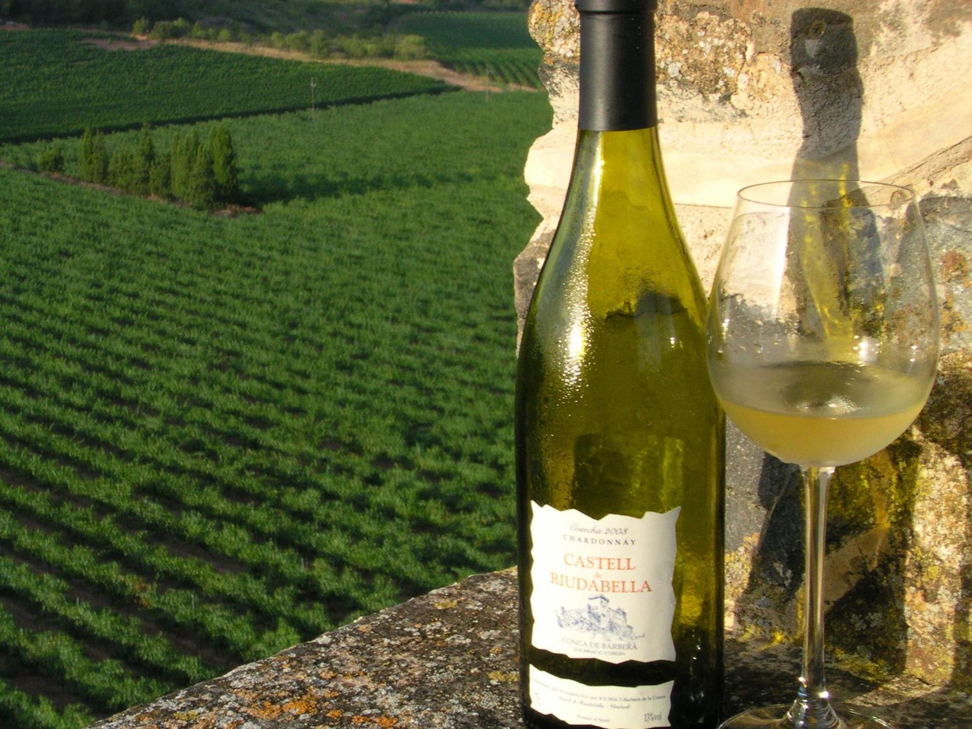 Castell De Riudabella Apartment Vimbodi I Poblet Luaran gambar