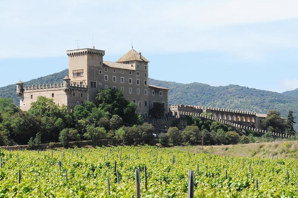 Castell De Riudabella Apartment Vimbodi I Poblet Luaran gambar